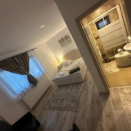 Vila Ema Râşnov-2